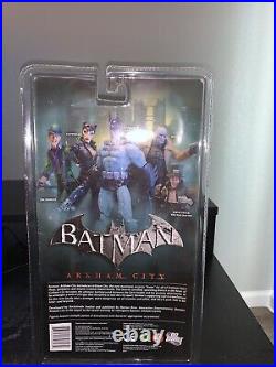 Batman and Catwoman Arkham City And The Dark Knight Rises Collectibles