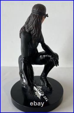 DC Collectibles The Dark Knight Rises Catwoman (16 Scale Icon Statue) DC Collectibles The Dark Knight Rises Catwoman (16 Scale Icon Statue)