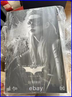 Hot Toys Catwoman The Dark Knight Trilogy 1/6 Collectible Figure MMS627 New