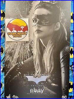 Hot Toys DC Comics Catwoman The Dark Knight Trilogy MMS627 1/6 Selina Hathaway