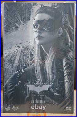 Hot toys MMS627 1/6 Catwoman The Dark Knight Trilogy
